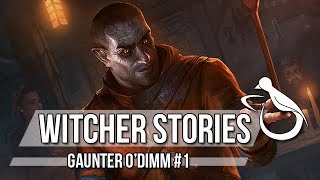 Witcher Stories  Gaunter ODimm Part 12 Witcher Lore [upl. by Eux]