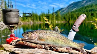 48H SOLO Backpacking amp MOUNTAIN TROUT Fishing Catch Cook Camp [upl. by Anaele]