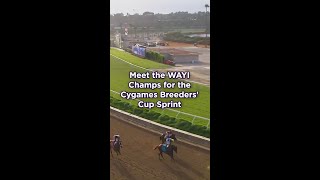 Meet the WAYI Champs for the Cygames BreedersCup Sprint [upl. by Darrelle515]