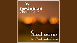 Sicut cervus  Alto Emphasized [upl. by Nevak]