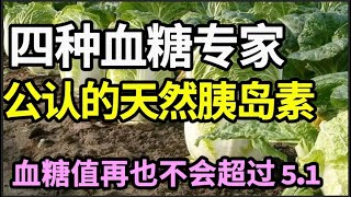 这四种食物，被血糖专家称为“天然胰岛素”、糖尿病的克星，每天换着吃，血糖值再也不会超过51！【本草养生大智慧】 [upl. by Smoht]