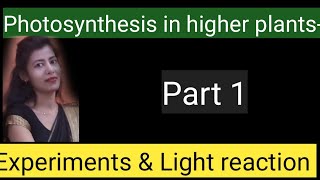 photosynthesis in higher plants NCERT educationk6111 [upl. by Sido]