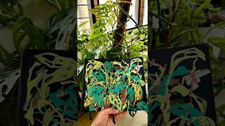 Painting Monstera livepaint illustration monsteraplant sketchbook paintwithme [upl. by Ecnarwal]