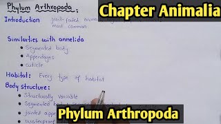 Phylum Arthropoda Characters And Classification Fully Explain In Hindi Urdu [upl. by Wons]