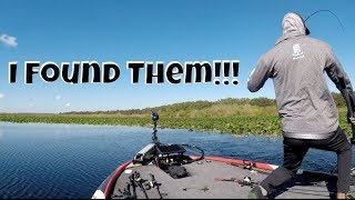 Lake Toho FLW Tour Vlog [upl. by Lisandra]