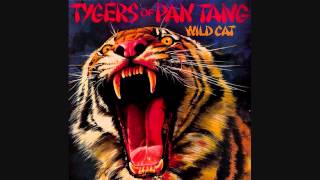 TYGERS OF PAN TANG  Insanity  1980 [upl. by Standford]