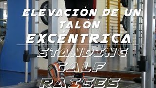 Flexión plantar de tobillos EXCÉNTRICA Standing calf raises 12  Ejercicio gemelos [upl. by Nereids]