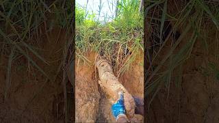 Oddly Satisfying Drainage Clearing Relaxing ASMR Moment clogged shorts satisfying [upl. by Elbert]