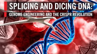 Splicing and Dicing DNA Genome Engineering and the CRISPR Revolution [upl. by Grishilde]