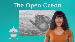 The Open Ocean  Environmental Science 1 for Teens [upl. by Gile]