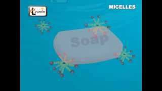 Soap Micelles Formation  Science [upl. by Yehc526]