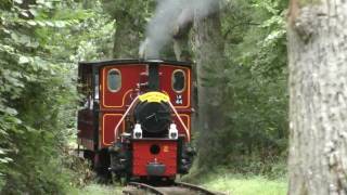 Stradbally Steam Railway [upl. by Rimisac]