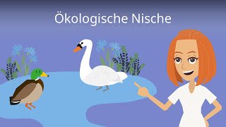 Ökologische Nische einfach erklärt [upl. by Neona]