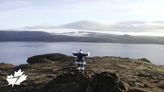 WestJet Christmas Miracle Uniting Through Traditions  Iceland  Day 24 [upl. by Cletis504]