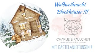 Produktvorstellung Blockhäuser undvm mit Bastelbeispielen [upl. by Nonnek]