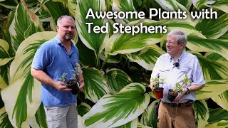 I had to bring these plants home  Ted Stephens  Nurseries Caroliniana Tour [upl. by Suinotna]