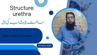 Stricture urethra پیشاب کی نالی کی رکاوٹ Dr imran Qadir [upl. by Dailey956]