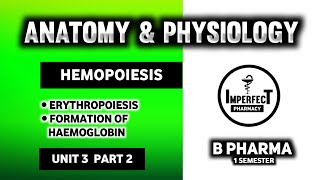 Hematopoiesis  Erythropoiesis  Human Anatomy And Physiology  HAP  B Pharma [upl. by Alih493]