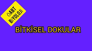 45 BİTKİSEL DOKULAR  ÖABT BİYOLOJİ [upl. by Nomolos]