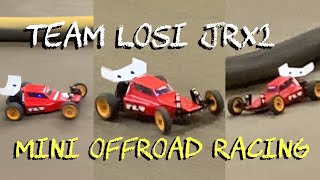 Team Losi Jrx2 Mini vs Traxxas mini b mini t offroad Racing [upl. by Nulubez585]