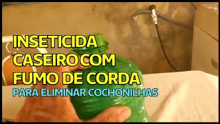 Como fazer INSETICIDA caseiro com FUMO DE CORDA para matar COCHONILHA [upl. by Erdeid]