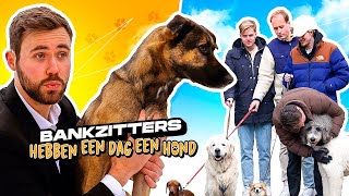 BANKZITTERS HEBBEN VOOR ÉÉN DAG EEN HOND [upl. by Atik631]