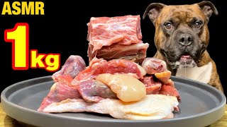 MUKBANG ASMR Dog eating Raw Meats ＆ bones 【American Bully】 [upl. by Stoops]