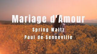 Paul de Senneville  Mariage dAmour ㅣ Relaxing Piano [upl. by Nilrev]