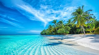 Beautiful Relaxing Music  Stop Overthinking Mind Calm Serene Seascapes for Ultimate Relaxation [upl. by Granville]