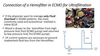 Connecting CRRT Machine to an ECMO Circuit [upl. by Aduhey]