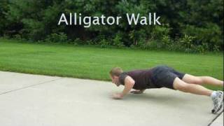 Alligator Walkmpg [upl. by Ettenor63]