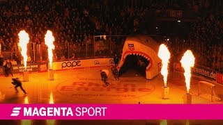 Derby 221 Kölner Haie vs Düsseldorfer EG 1819  MAGENTA SPORT [upl. by Eelrefinnej382]