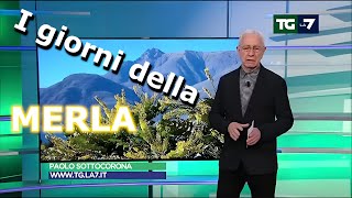 I GIORNI della MERLA tra scienza e folklore [upl. by Brenda]