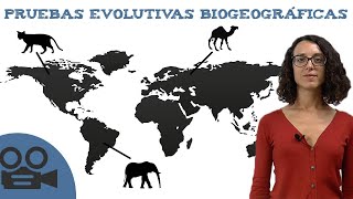 Pruebas evolutivas biogeográficas [upl. by Jonis]