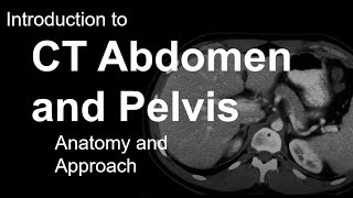 Introduction to CT Abdomen and Pelvis Anatomy and Approach [upl. by Ellerol]