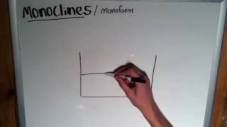 The Basics of Geology Monoclines [upl. by Kaine]