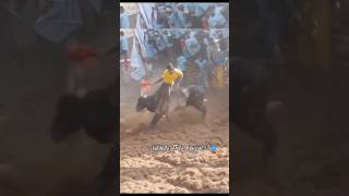 jallikattu 2024 tamil culture shorts manjuvirattu subscribe love [upl. by Stiegler]