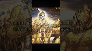 Lord Krishnas Incredible Speech 🚩🔥 shorts lordkrishna shreekrishna hinduism [upl. by Allan449]