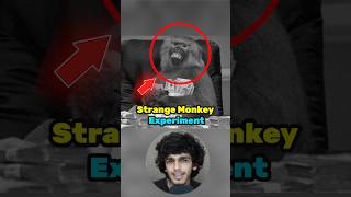 Untold Monkey Experiment 💀 shorts facts gkinhindi gk ssc upsc story storytime factsinhindi [upl. by Eissak]