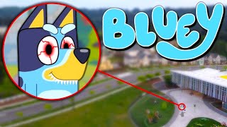 Drone Catches BLUEY HEELER From BLUEY IN REAL LIFE BINGO BANDIT amp CHILLI [upl. by Cavit]