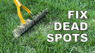 Fixing dead spots in your yard [upl. by Dorina]