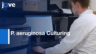 P aeruginosa Culturing and Quantitation of Alginate  Protocol Preview [upl. by Leber333]