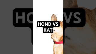 Honden 🐕 vs Katten 🐈 [upl. by Nosylla262]