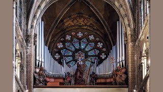 Cantique des âmes Chant pour Choeur Cor Cordes et Orgue à tuyaux lygerosMusicofNikosLygeros [upl. by Etna]