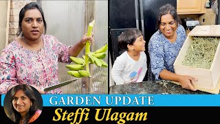 Garden Update Vlog in Tamil  Nesting Box for Coco  Preparing Plants for Winter and harvest Vlog [upl. by Allayne]