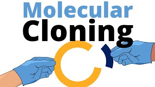 Molecular Cloning explained for Beginners [upl. by Aita462]