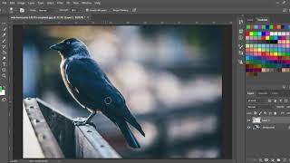 SMUDGE TOOL  Adobe Photoshop Tutorial [upl. by Fenner]