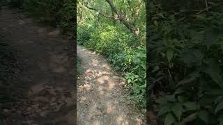 Margalla hills hiking trail 4 Dhok jewanmargalla margallaroad [upl. by Arlen]