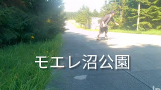 「サーフスケート」モエレ沼公園に良い坂有りました。 [upl. by Otrebide57]