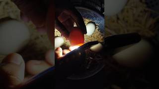 Egg candling  Super Simple Way to Candling Eggs Using a Mobile Phone [upl. by Ashti136]